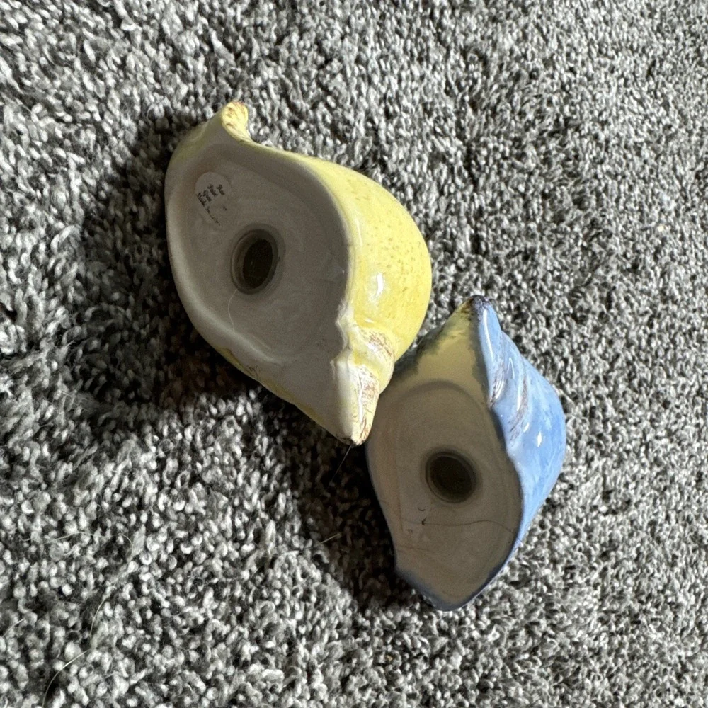 Snails Anthropologie Salt & Pepper Shaker Set Sea Shells Ceramic Hand Painted